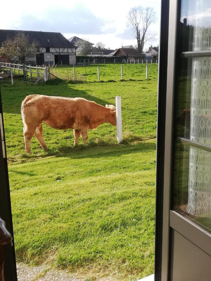 L'Opaline, Jolie Maison Avec Jardin 6 Pers,10Km Honfleur, Linge Et Internet Inclus Безвіль Екстер'єр фото