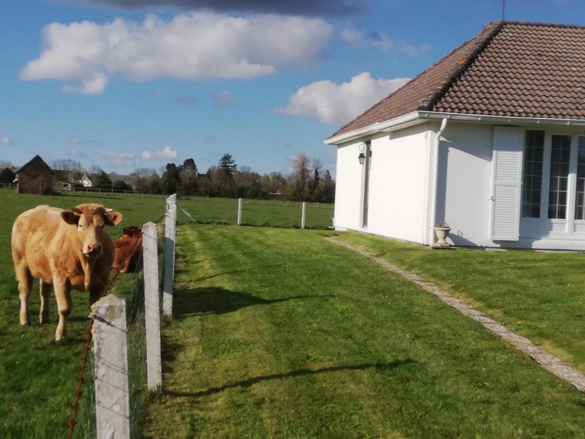 L'Opaline, Jolie Maison Avec Jardin 6 Pers,10Km Honfleur, Linge Et Internet Inclus Безвіль Екстер'єр фото